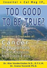 Too Good to be True? Book cover from the original homepage.