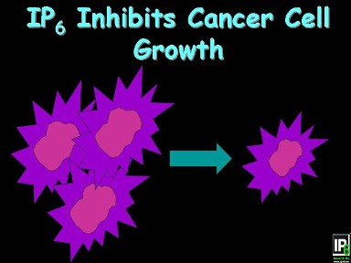 Conceptual illustration of cancer cell growth inhibition, from the original Science page.