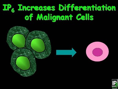Conceptual illustration of differentiation of malignant cells, from the original Science page.