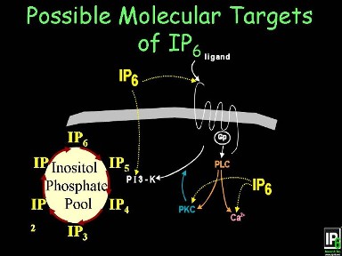 Cell signaling illustration from the original Science page.