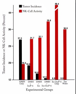 Natural killer cell activity in experimental groups.
