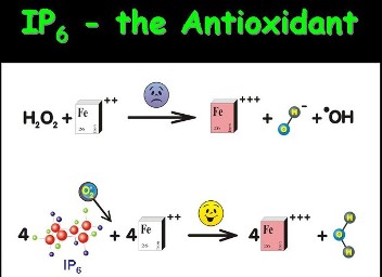 Antioxidant chemistry figure from the original Science page.